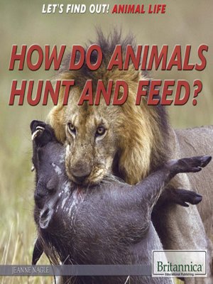 cover image of How Do Animals Hunt and Feed?